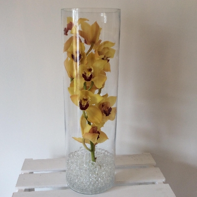 Cymbidium Orchid in Tall Vase