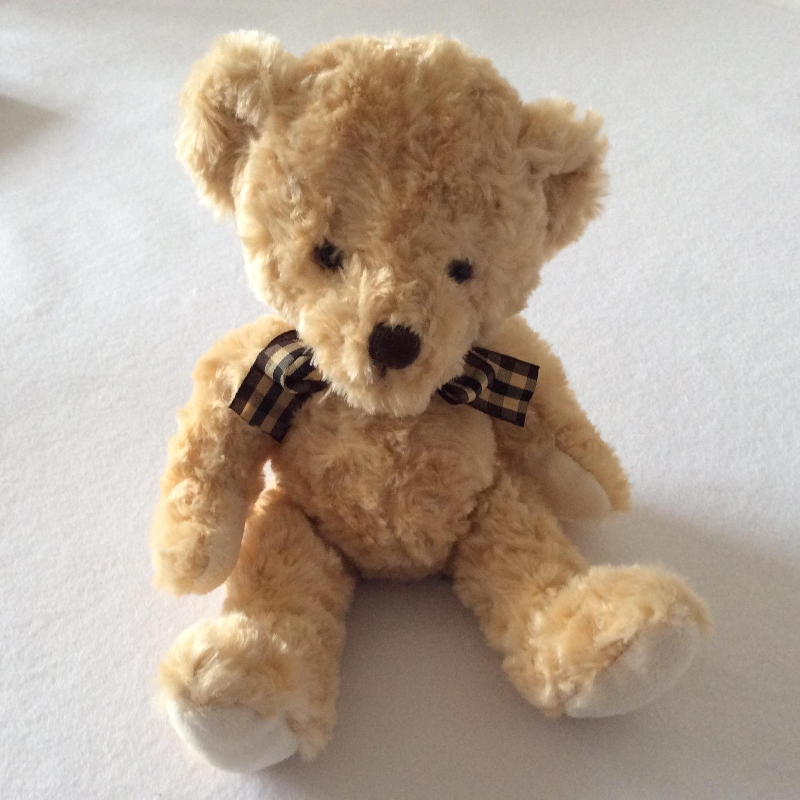Thomas Bear buy online or call 07361229714