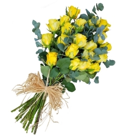 Yellow Sheaf